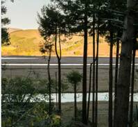 Point Reyes Station Cabin | Inverness Herons Nest- Ideal Getaway for a Couple