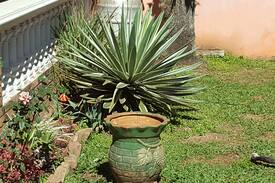 Aregua Villa | Colonial house in Aregua / Paraguay
