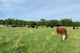 Grapevine Other | Hurricane Creek Ranch - Over 400 Acres