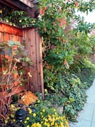 North Berkeley House | Penderwick Cottage