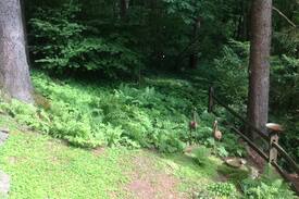 South Kent Cabin | Lake View Cottage in Kent, CT