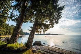 Sooke Cabin | Delightful Oceanfront Cottage