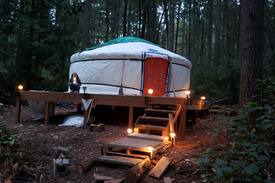 Vashon Island Other | Vashon Island Yurt in the woods