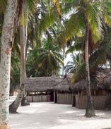 Carti Tupile Other | Tuba Senika Franklin Island PRIVATE Cabin