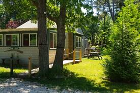 Pleasant Point Cabin | Pine Lodge - spacious and dog friendly!
