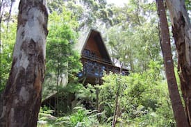 Denmark Villa | Treetops (Denmark)