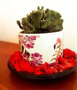 Batu Bolong Bed & Breakfast | PHOENIX bed and breakfast 1