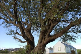 Carbed Cabin | Mary Janes Cottage on the Wild Atlantic Way