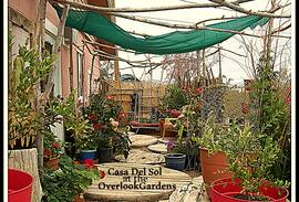 Golden Valley House | Casa Del Sol @ the Overlook Gardens