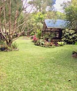 Infanta Other | Gina's Garden and Farm.
