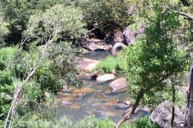 Dorrigo Cabin | Dorrigo Waterfall Cabins - Lyrebird Cabin