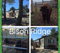 San Miguel Cabin | Bison Ridge