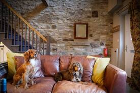 Barnard Castle Cabin | Simply stunning Ash Cottage quiet, quaint & cosy..