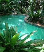 Coconut Grove House | BUDDHA'S JUNGLE. COCONUT GRV. SHARE 3 night min.