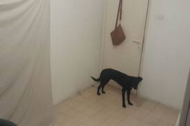 Beersheba Apartment | Medium room in apt. Ac included