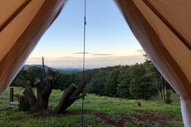 Robertson Other | Escarpment Glamping - “The Chicken Shed”