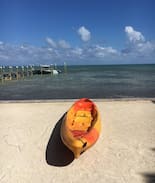 Islamorada House | The Russell Estate, 2 Acrs on OCEAN, tropical 3/2