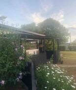 Tarzali Other | Wagtail House Studio pet friendly
