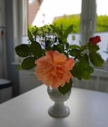 Schortens House | FeWo Wilbers maritime Ferienwohnung an der Nordsee