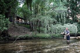 Irons Cabin | Cozy Riverfront Cabin- A Nature Lover's Paradise!