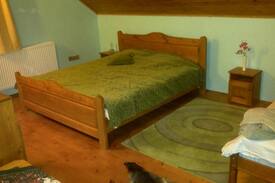 Sirnea House | Vila Andrei