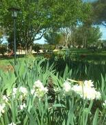 Avenel Other | Farm stay amongst the wineries and lake.