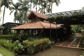 Caringin Villa | D'Palm Villa - Villa Caringin Bogor by Anton'sHome
