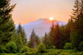 Stevenson Cabin | Skamania Skedaddle (hidden gem in the Gorge)