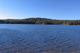 Fiskdale Cabin | Charming Lakefront Cottage on Big Alum Lake