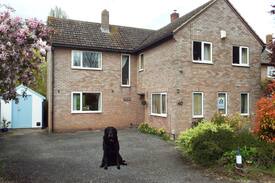 Steventon Bed & Breakfast | "Orchard House, Steventon". B&B - Copse View