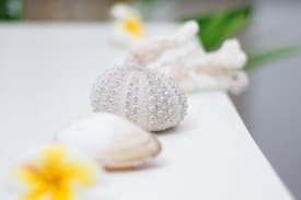 Blue Bay Apartment | le jardin de frangipane 5