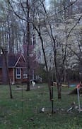 Petsworth Other | Nothing Fancy at Witts End Mini Farm on Beaver Dam