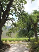 Breede Valley House | Erzette Farm house