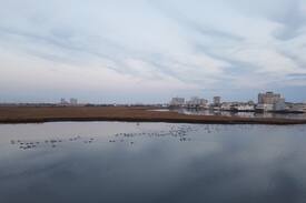 Ventnor City Apartment | Bay Acres