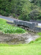 Dairy Flat House | Fernhill Cottages - 1