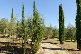 Montechiaro Villa | Villa "La Scuola" "The Charming School"