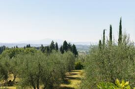 Montechiaro Villa | Villa "La Scuola" "The Charming School"