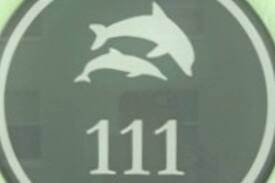 St. Petersburg - Clearwater Apartment | Peace O'Paradise at Dolphin Pointe
