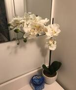 Winchester House | 1 bedroom in Winchester,MA