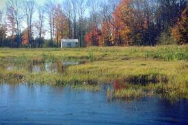 Omemee Other | Little Cabin on the Marsh