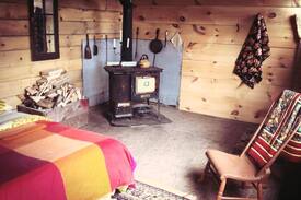 Omemee Other | Little Cabin on the Marsh