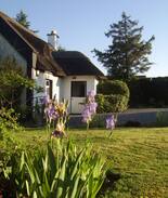 Kilkenny Cabin | Charming And Cosy 300 yr Old Thatched Cottage.