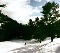 La Peche Cabin | Sleepy Hollow @ Gaia Wellness Retreat Wakefield QC