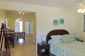 Little Trunk Bay Apartment | Hillside Hideaway Garden Studio