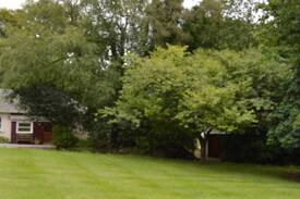 Auchenblae Cabin | Fuchsia Cottage - Glenfarquhar Lodge, Auchenblae
