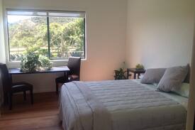 Otapaurau Other | Matarangi lodge farm stay/ natural environment