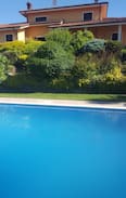 Calosso Villa | Villa Luigi - Swimming pool and vineyards