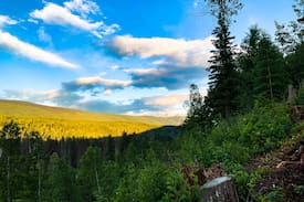 Clearwater Cabin | Wells Gray Hideaway (Hot Tub) - Clearwater B.C