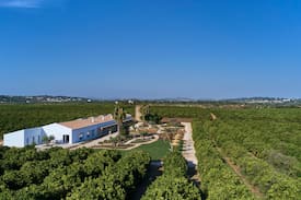 Monte Raposo House | Rufino Quinta - Casa Peacock