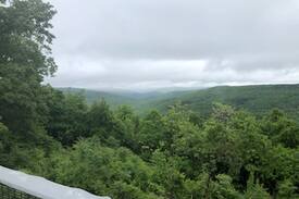 Ozone Cabin | Slim’s Ozark Hideaway